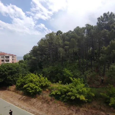 Sea And Greenn Life Apartament