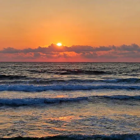 Sea And Greenn Life Sozopol